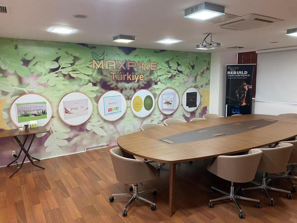 Maxpine Türkiye — Kadıköy, İstanbul Hazır Ofis fotoğraf 2