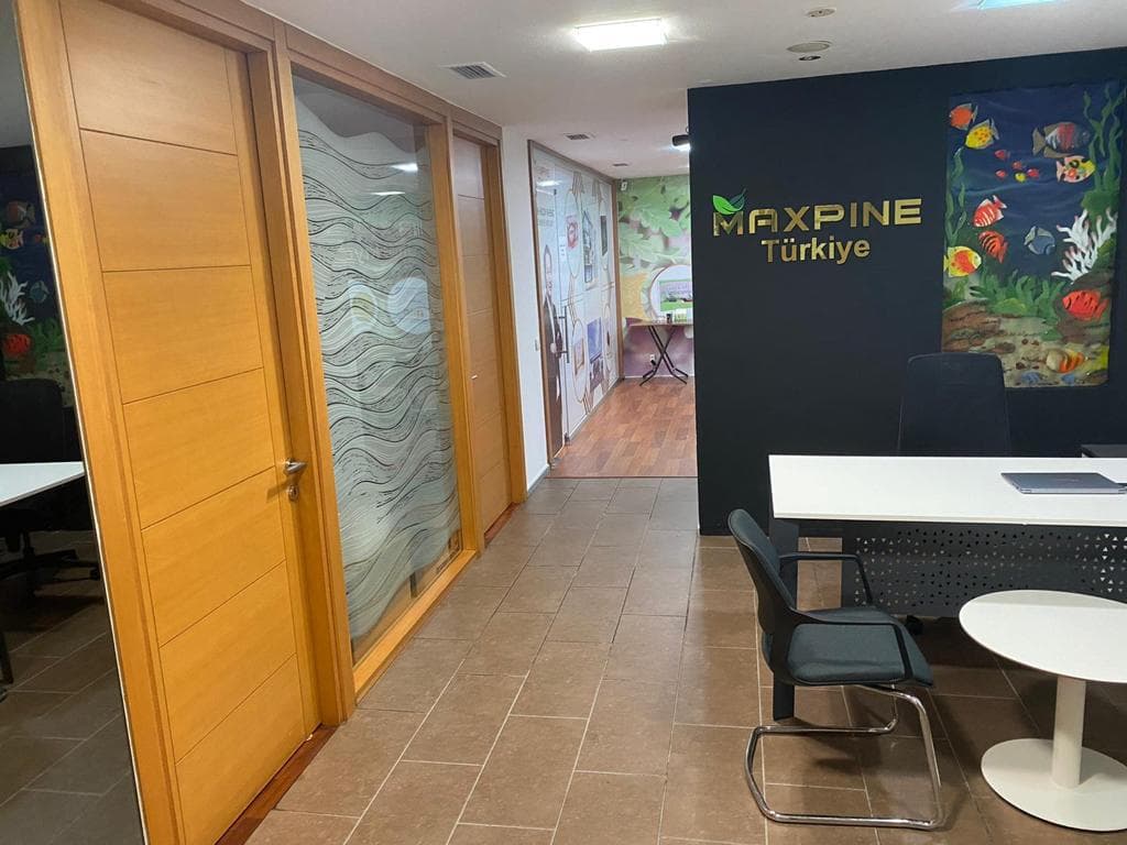 Maxpine Türkiye — Kadıköy, İstanbul Hazır Ofis fotoğraf 4