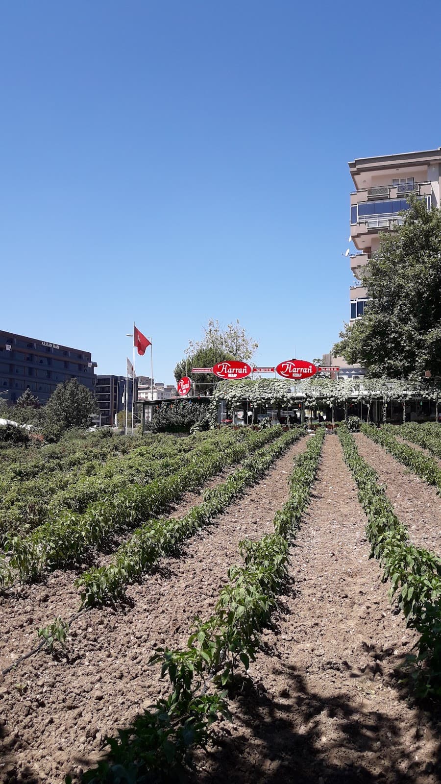 Arslanhan Plaza — Nilüfer, Bursa Plaza Ofis fotoğraf 5