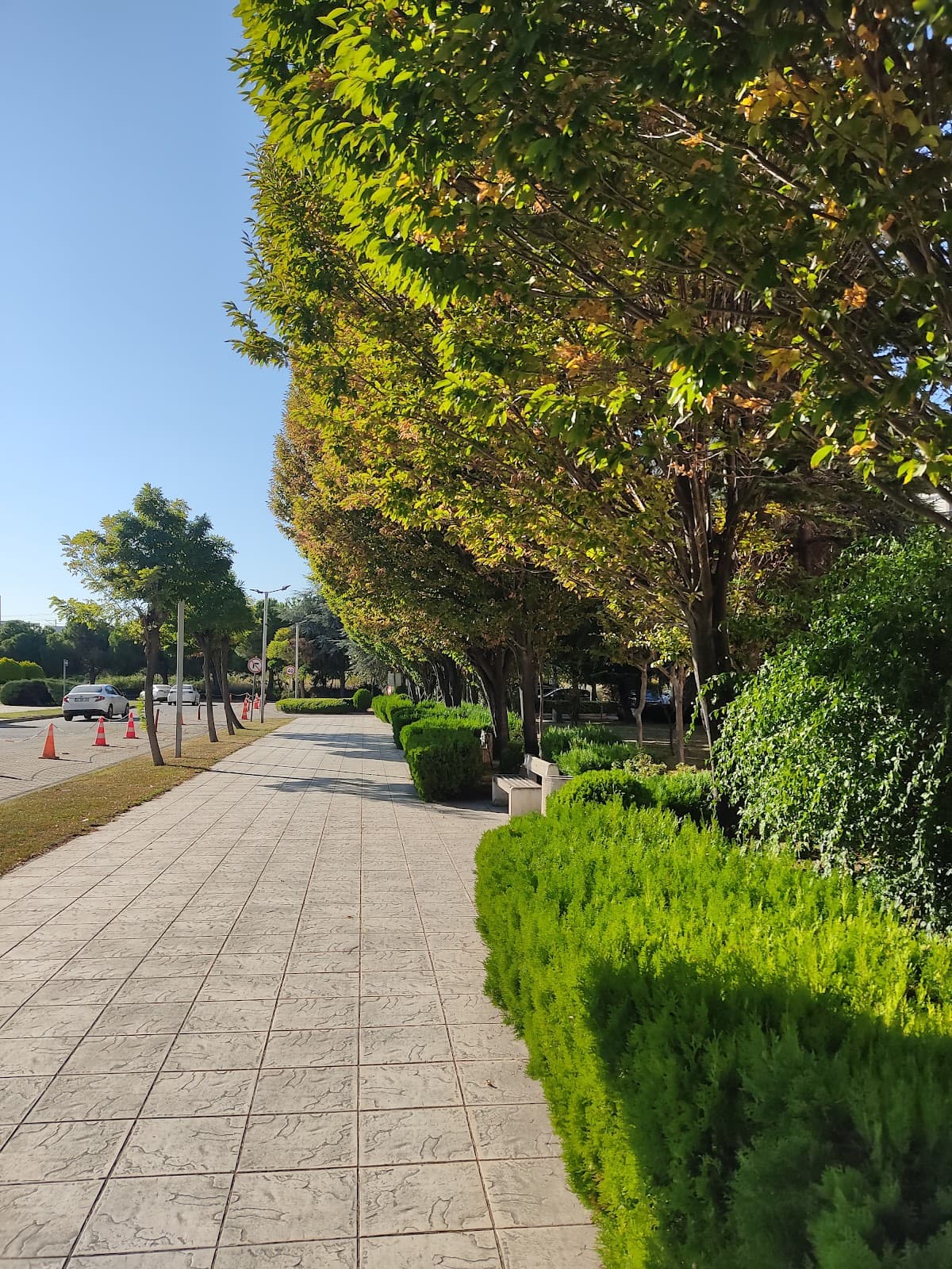 EGS Business Park — Bakırköy, İstanbul Hazır Ofis fotoğraf 3