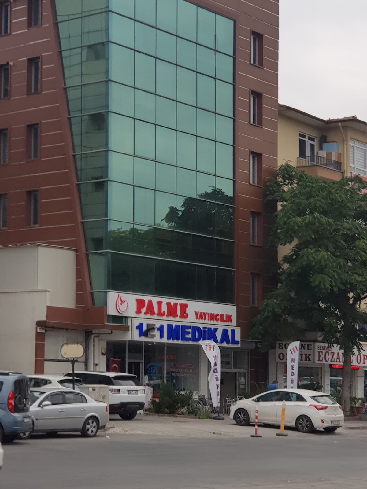 Palme Yayınevi — Kazım Karabekir, Ankara Hazır Ofis fotoğraf 5