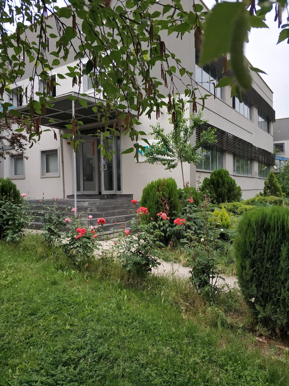 Netaş Bilişim ODTÜ Teknokent — Eskişehir Yolu, Ankara Hazır Ofis