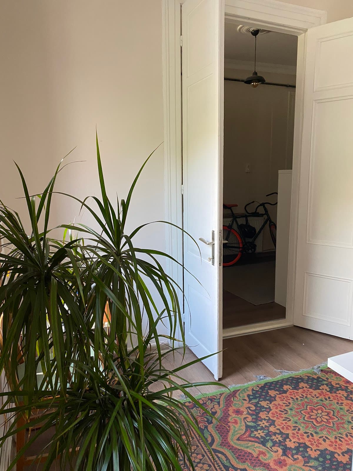 Zef Office — Konak, İzmir Hazır Ofis fotoğraf 2