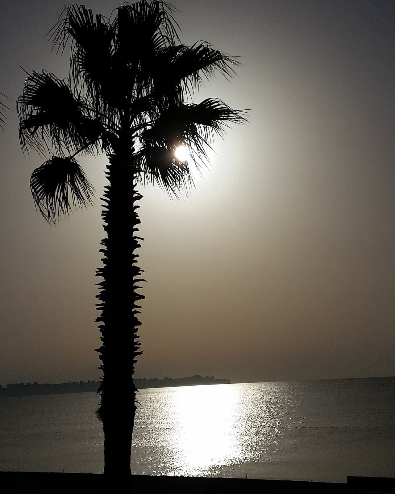 Antmarin İş Merkezi — Muratpaşa, Antalya Hazır Ofis fotoğraf 3