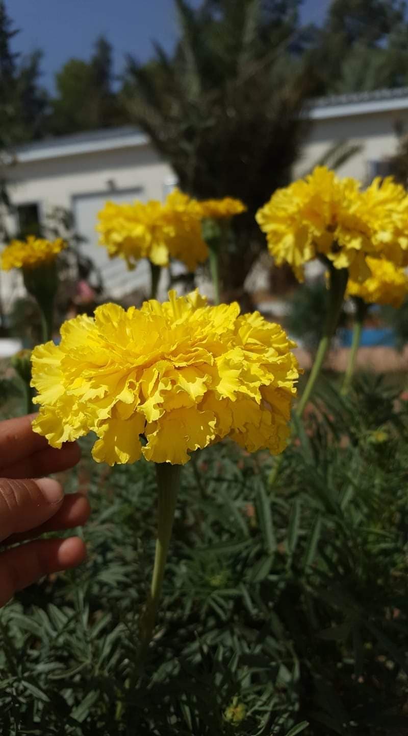 İnşaat İş Merkezi — Alsancak, İzmir Hazır Ofis fotoğraf 5