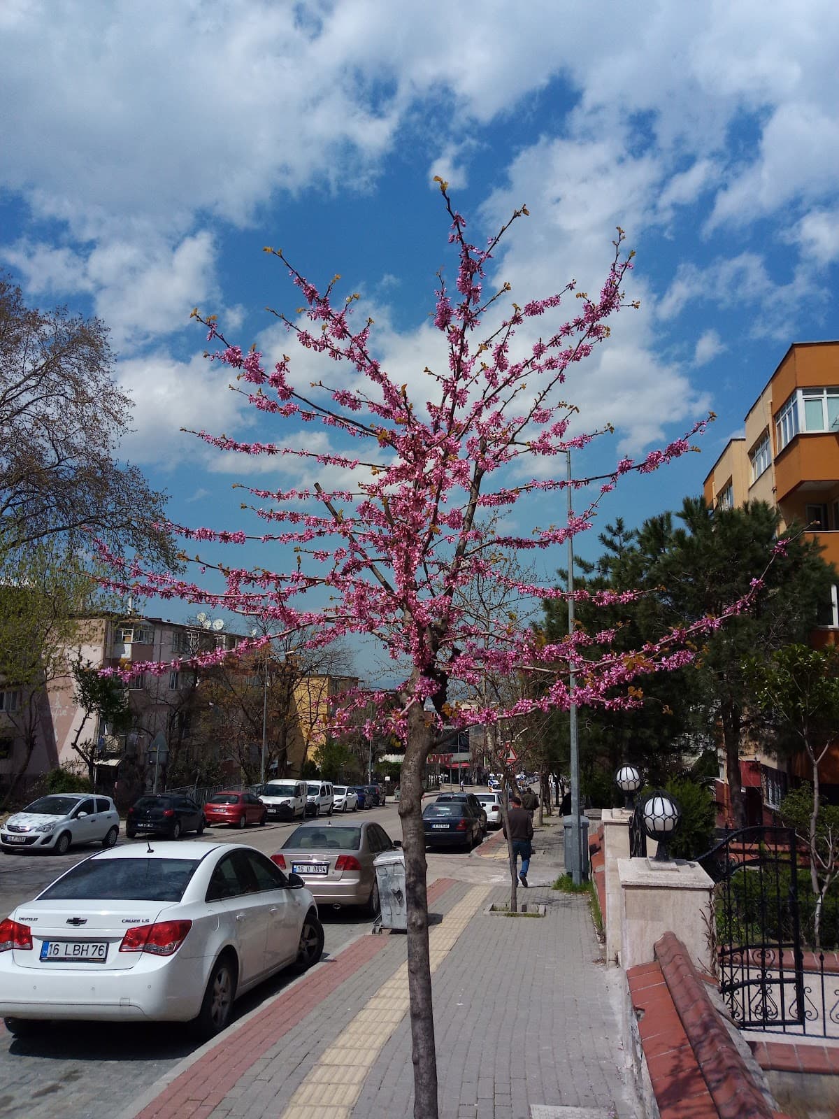 Yıldırım Sosyal Hizmet Merkezi Müdürlüğü — Yıldırım, Bursa Hazır Ofis fotoğraf 3