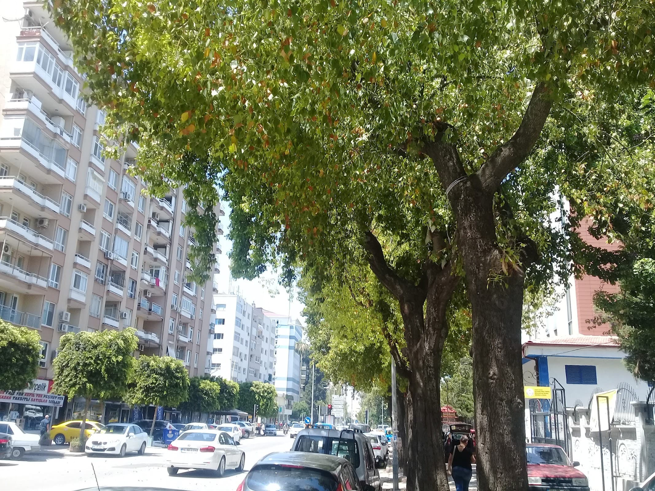Gen İş Merkezi — Seyhan, Adana Hazır Ofis fotoğraf 4