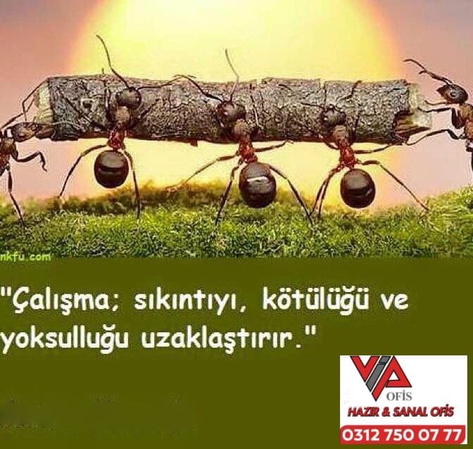 Vip Sanal Ofis Kiralık Ofis Ankara — Çankaya, Ankara Sanal Ofis fotoğraf 4