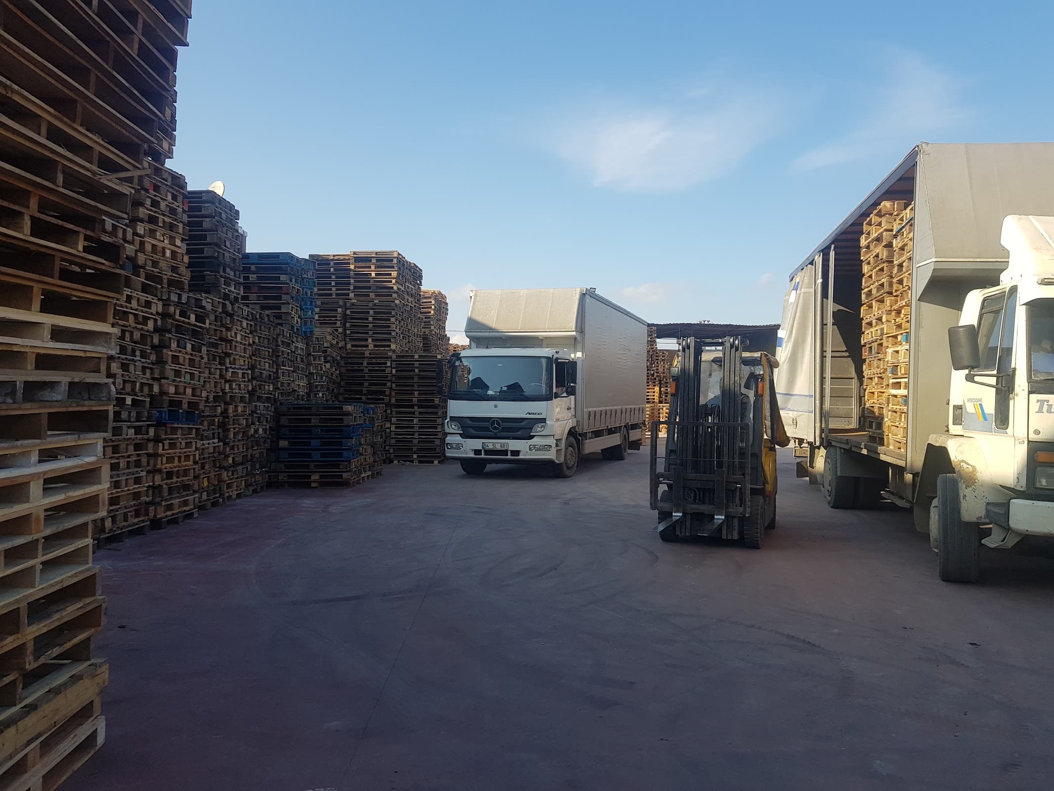 BİLGİNOĞULLARI ORMAN ÜRÜNLERİ GERİ DÖNÜŞÜM AMBALAJ SANAYİ VE TİC. LTD. ŞTİ. — Gebze, Kocaeli Hazır Ofis fotoğraf 4