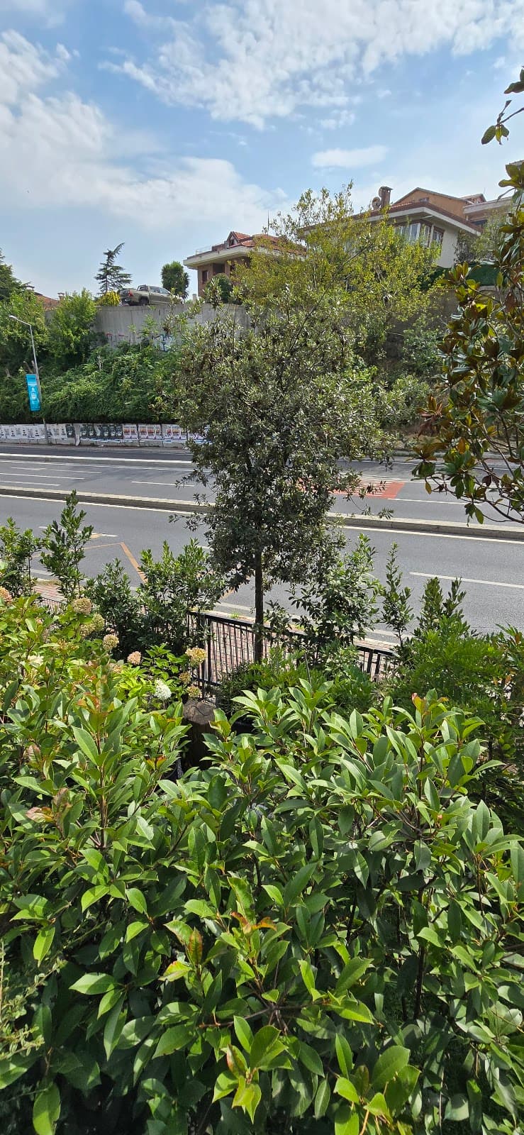 Yeşilvadi Landscape Design — Sarıyer, İstanbul Hazır Ofis