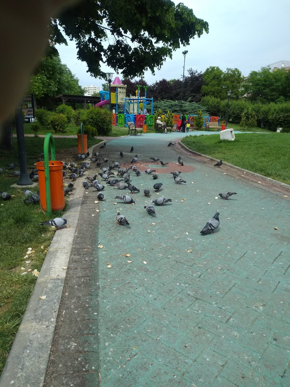 Tusso İş Merkezi — Balgat, Ankara Hazır Ofis fotoğraf 3