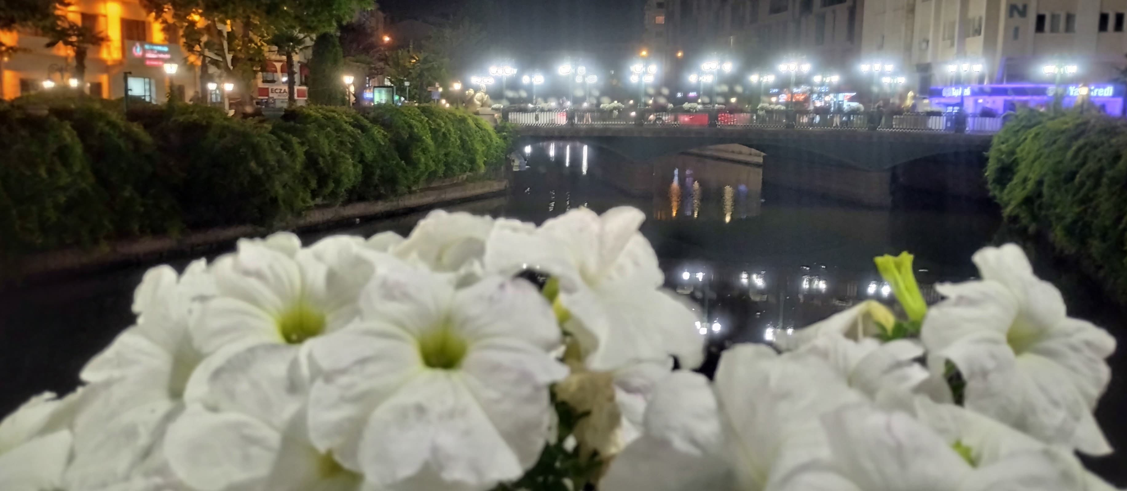 Köprübaşı (Sarar) İş Merkezi — Odunpazarı, Eskişehir Hazır Ofis fotoğraf 4
