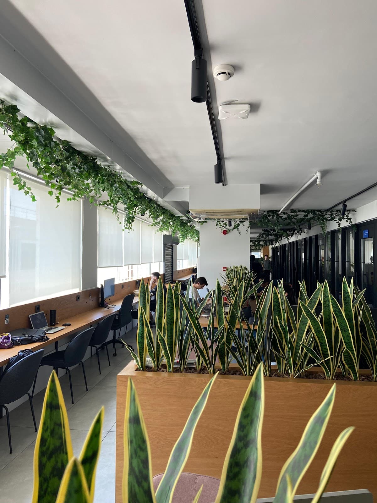 Work C I Paylaşımlı Ofis, Hazır Ofis, Sanal Ofis — Muratpaşa, Antalya Sanal Ofis