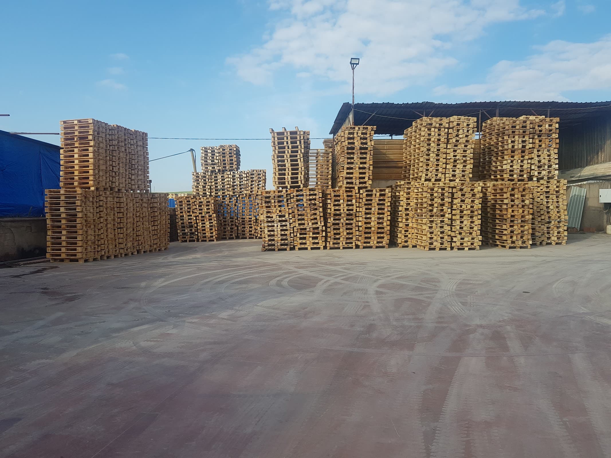 BİLGİNOĞULLARI ORMAN ÜRÜNLERİ GERİ DÖNÜŞÜM AMBALAJ SANAYİ VE TİC. LTD. ŞTİ. — Gebze, Kocaeli Hazır Ofis